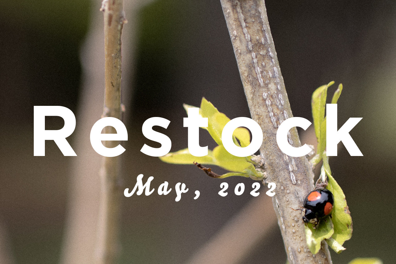 RESTOCK MAY, 2022 / 再入荷のお知らせ