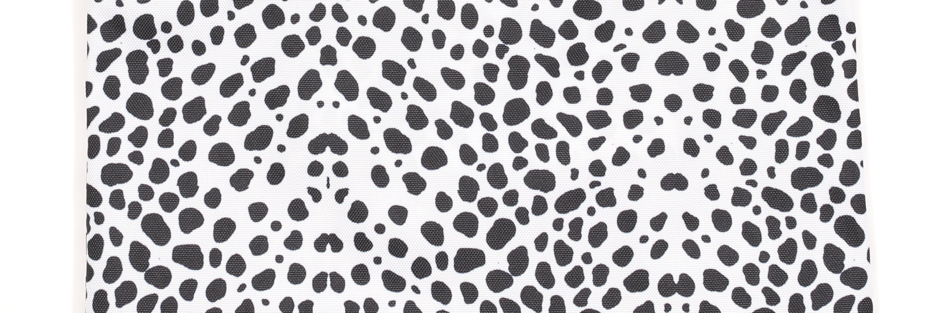 DALMATIAN / ダルメシアン
